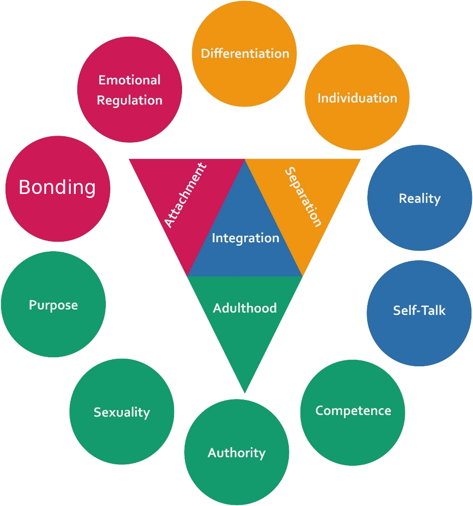 The Character Structures Map: an inverted triangle holding Attachment, Separation, Integration, and Adulthood, surrounded by ten sub-structure circles
