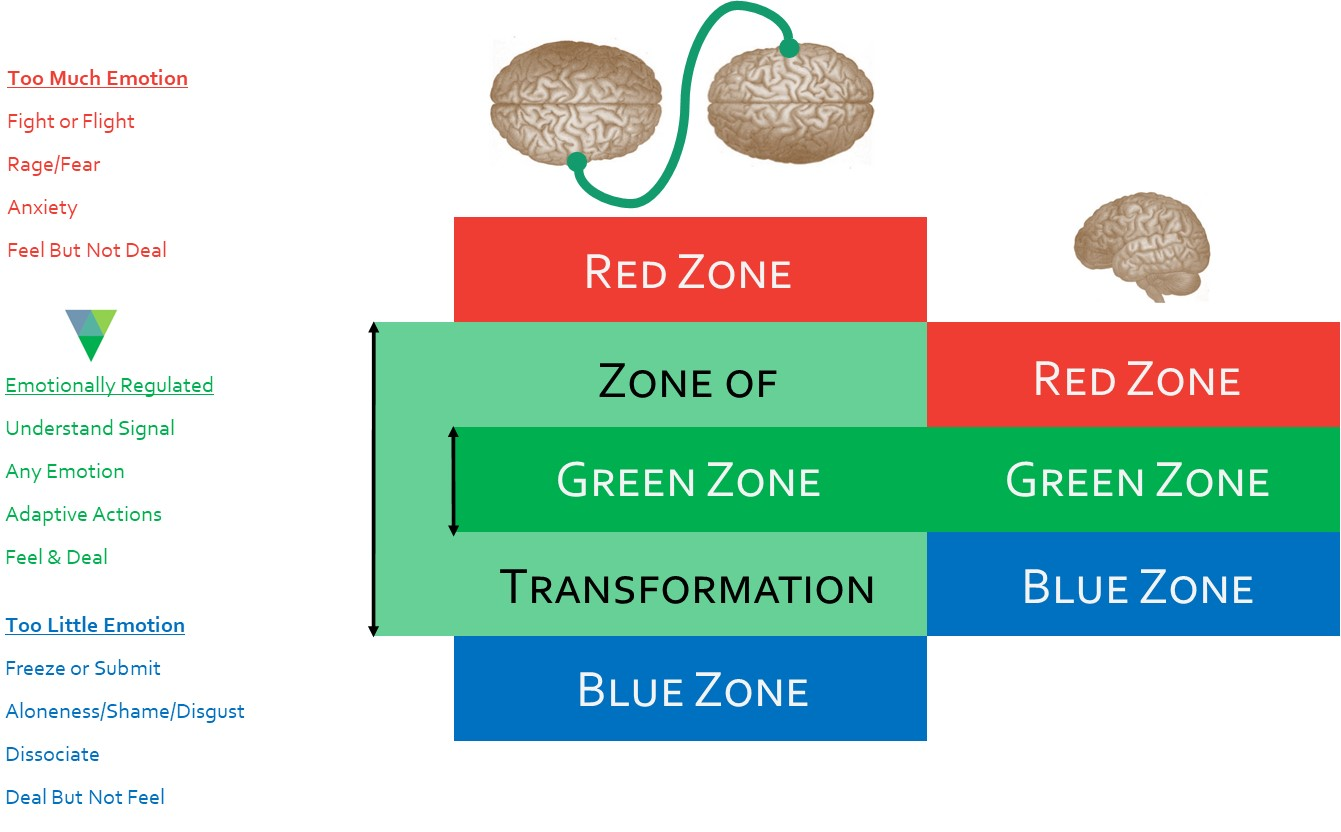 Expanded Zones of Regulation: two connected brains stretch the green zone into a zone of transformation